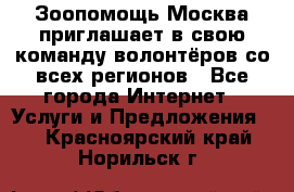 Зоопомощь.Москва приглашает в свою команду волонтёров со всех регионов - Все города Интернет » Услуги и Предложения   . Красноярский край,Норильск г.